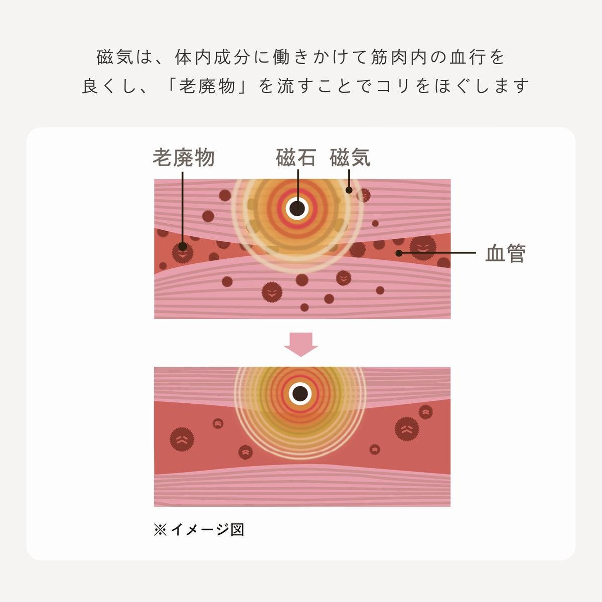 ピップエレキバンコラボ【管理医療機器】肩らっくすLUXE ナイト&デイ ハーフトップ - LECIEN ルシアン