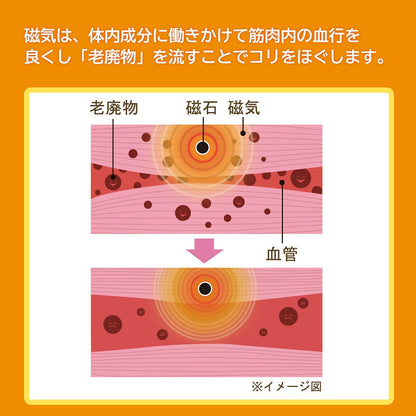 ピップエレキバンコラボ 【管理医療機器】腰こりらっくすショート丈 - LECIEN ルシアン