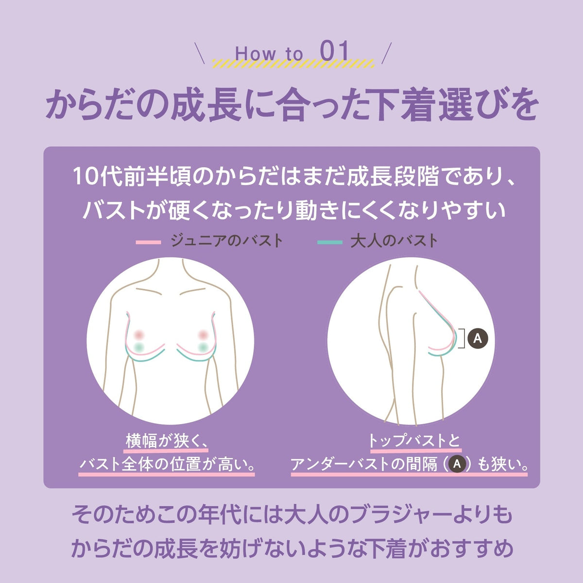 部活ブラ 胸を目立たせたくない人のためのブラ - LECIEN ルシアン