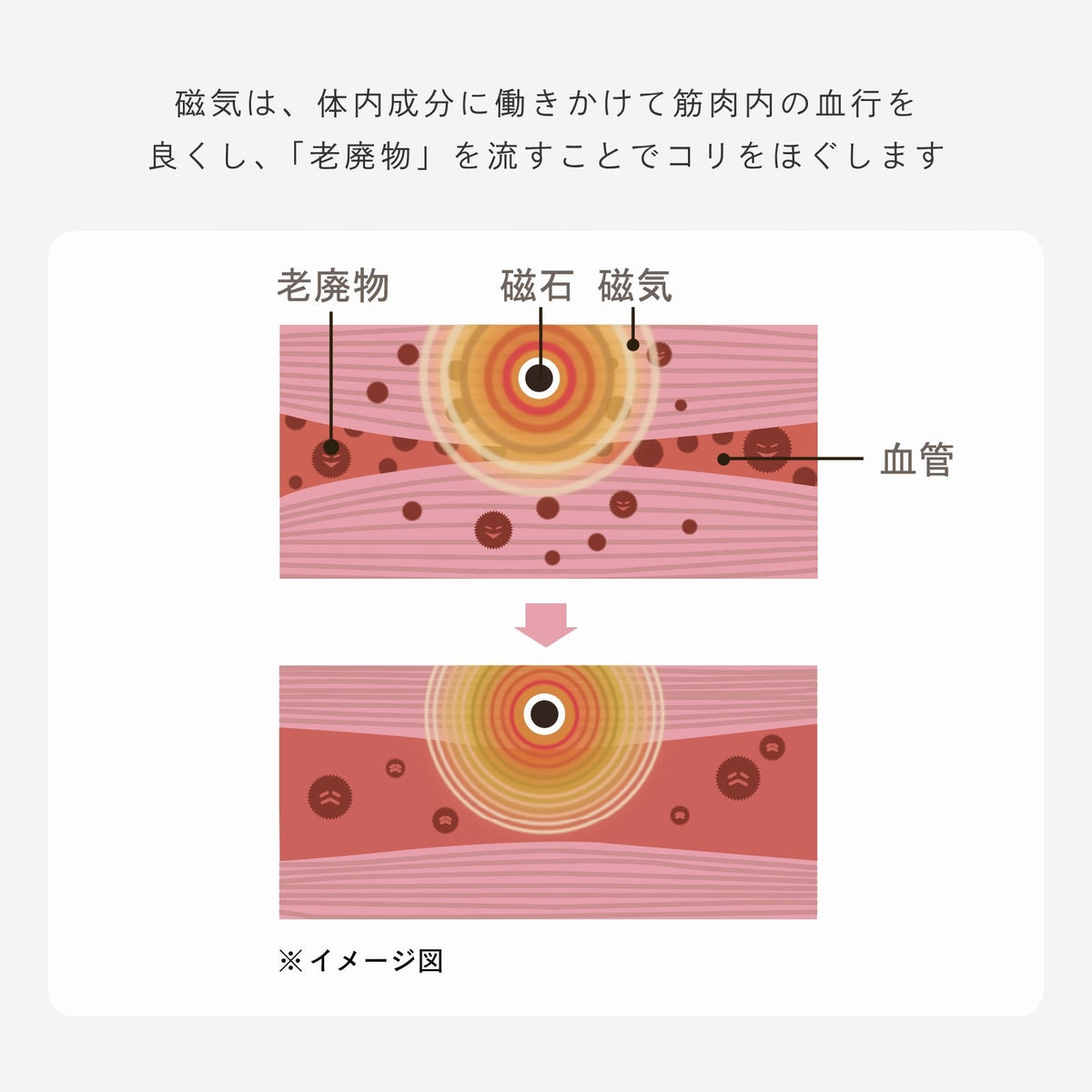 ピップエレキバンコラボ【管理医療機器】肩らっくすSEAMLESS　無縫製ハーフトップ - LECIEN ルシアン